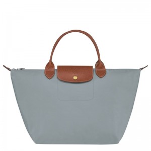 Grey Longchamp Le Pliage Original M Women's Handbag | 5913-FEBLT