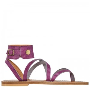 Purple Longchamp x K.Jacques Sandals Women's Sandals | 4753-MGVTS